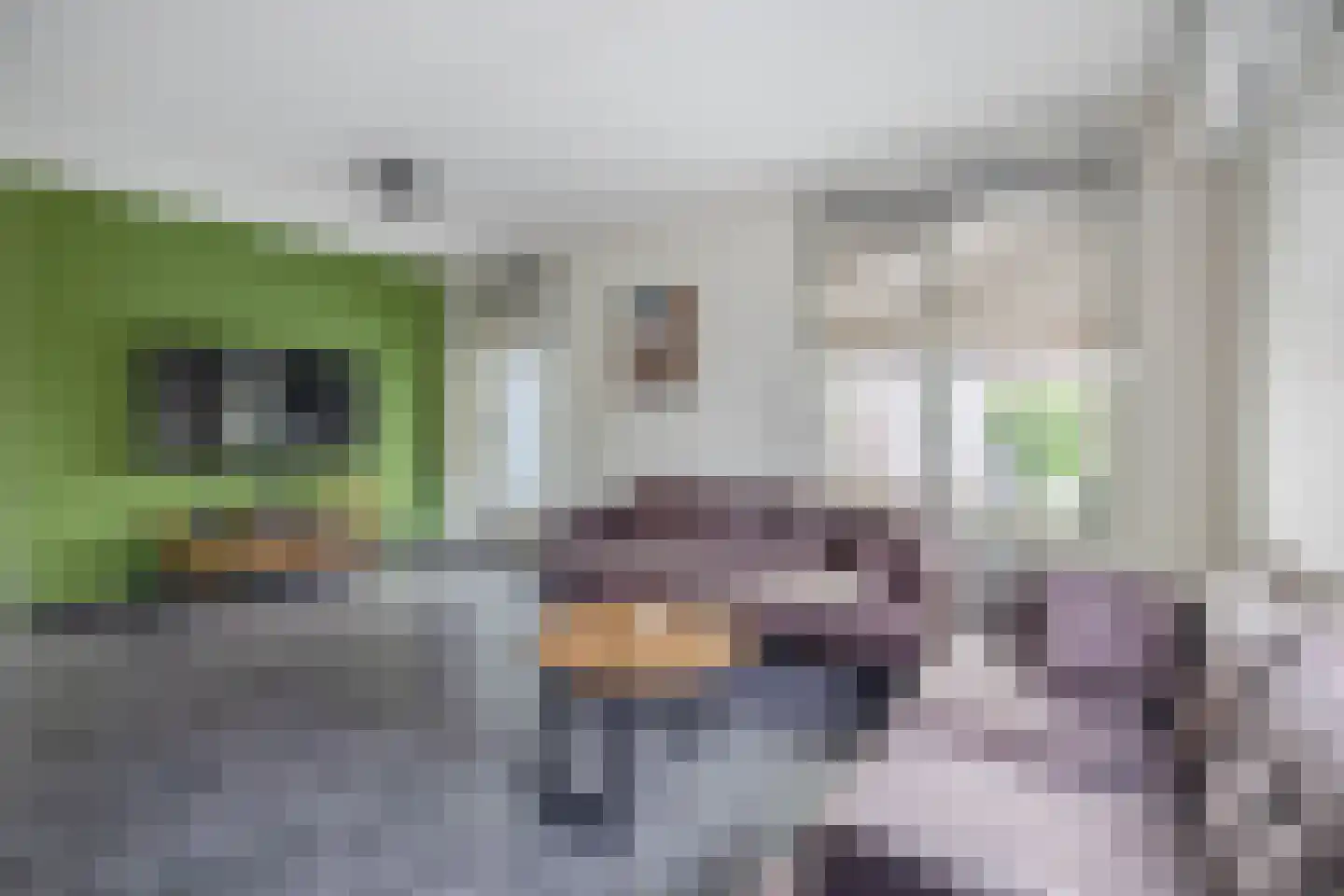 Blauwe Oven 2 Belfeld thumbnail 6