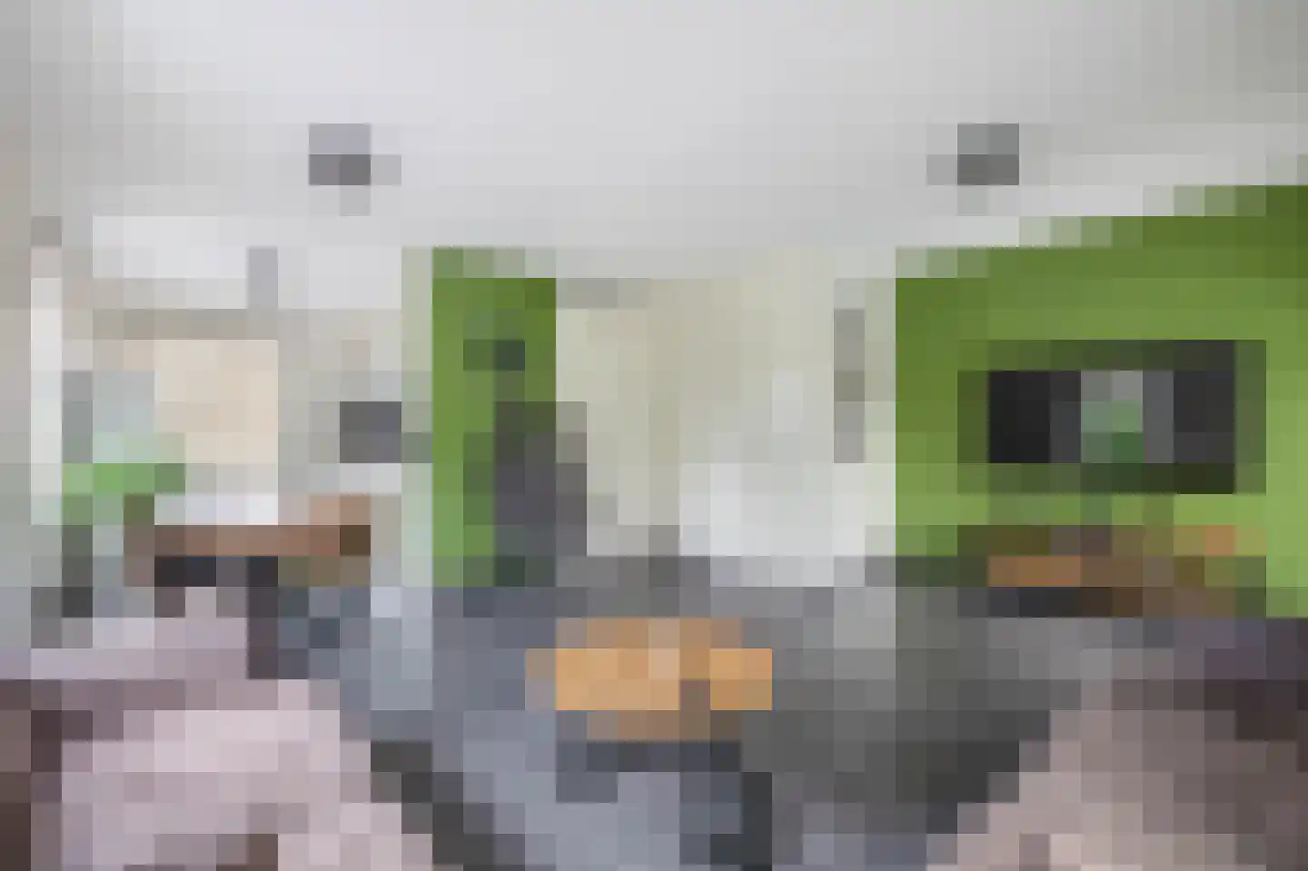 Blauwe Oven 2 Belfeld thumbnail 7