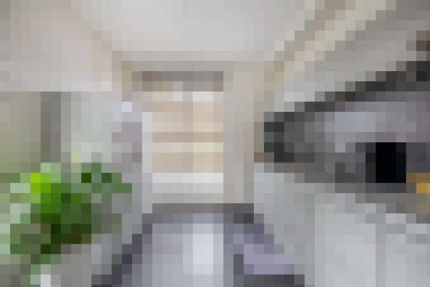 Blauwe Oven 2 Belfeld thumbnail 9