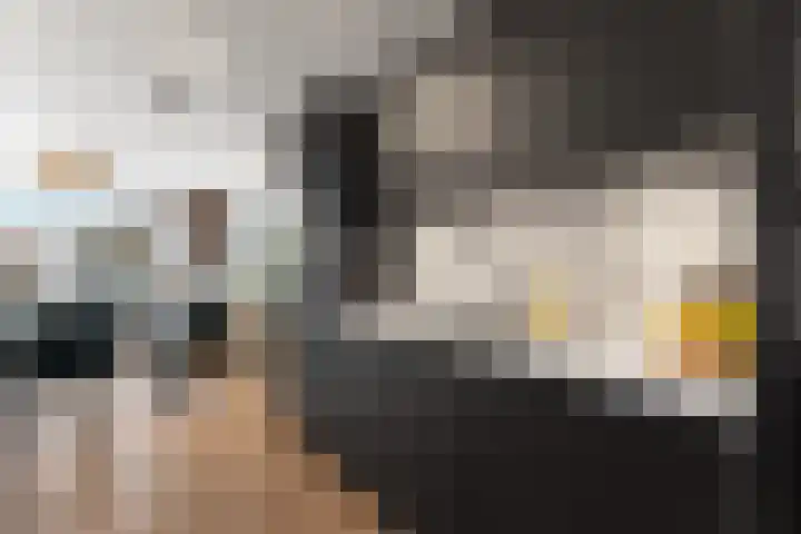 Blauwe Pan 6 Almere thumbnail 23
