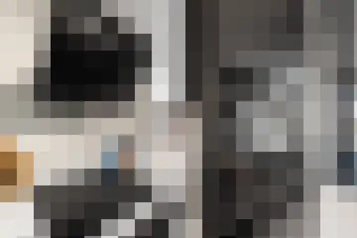 Blauwe Pan 6 Almere thumbnail 24