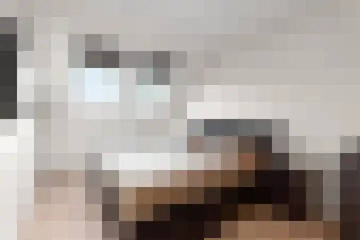 Blauwe Pan 6 Almere thumbnail 4