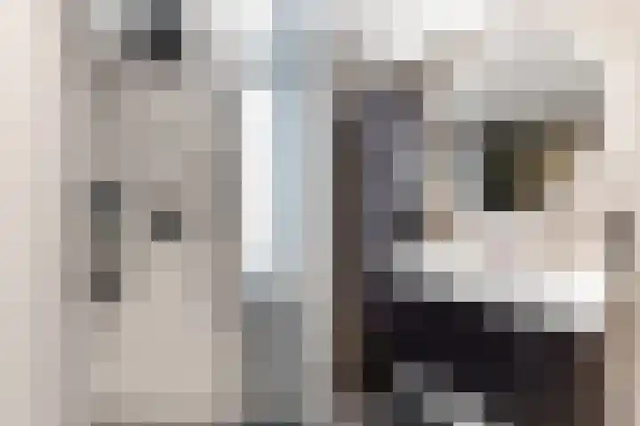 Blauwe Pan 6 Almere thumbnail 42