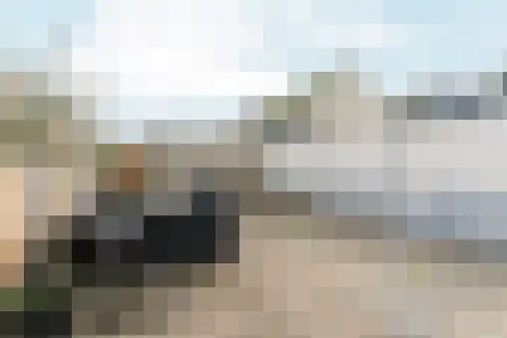 Blauwe Pan 6 Almere thumbnail 48