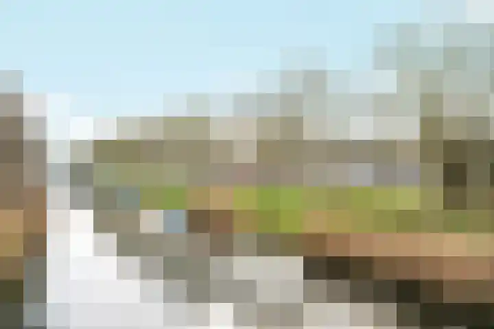 Blauwe Pan 6 Almere thumbnail 5