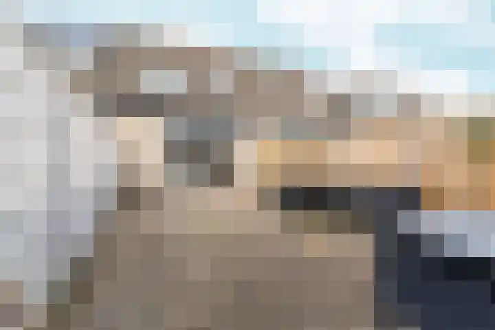 Blauwe Pan 6 Almere thumbnail 50