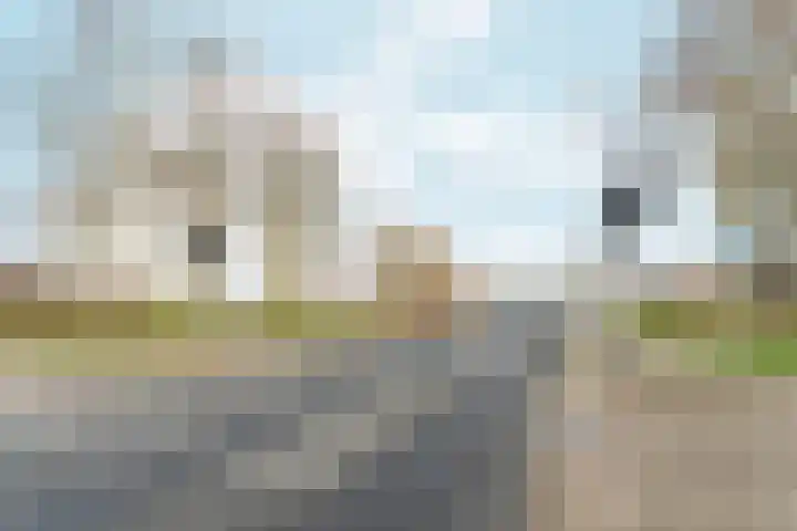 Blauwe Pan 6 Almere thumbnail 52