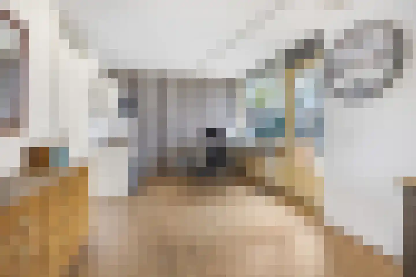 Blauwe Pannen 16 Wijk bij Duurstede thumbnail 12