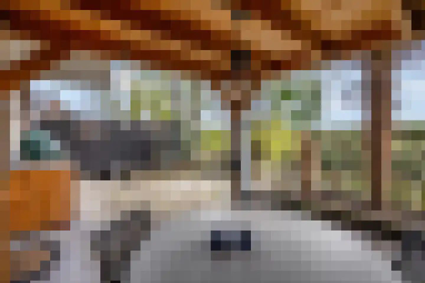 Blauwe Pannen 16 Wijk bij Duurstede thumbnail 14