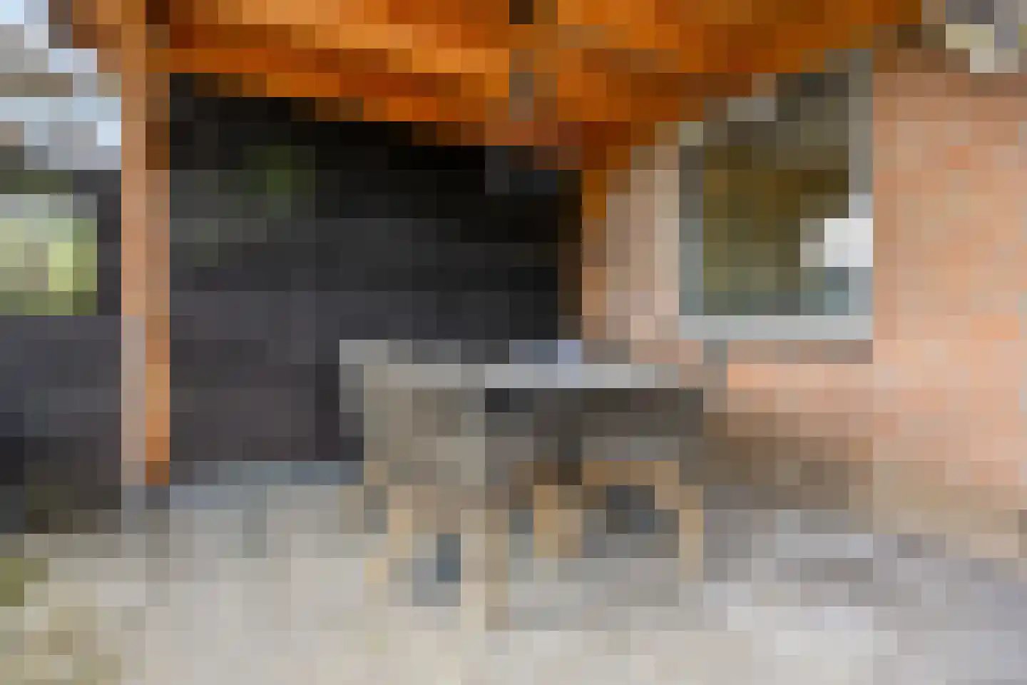Blauwe Pannen 16 Wijk bij Duurstede thumbnail 16