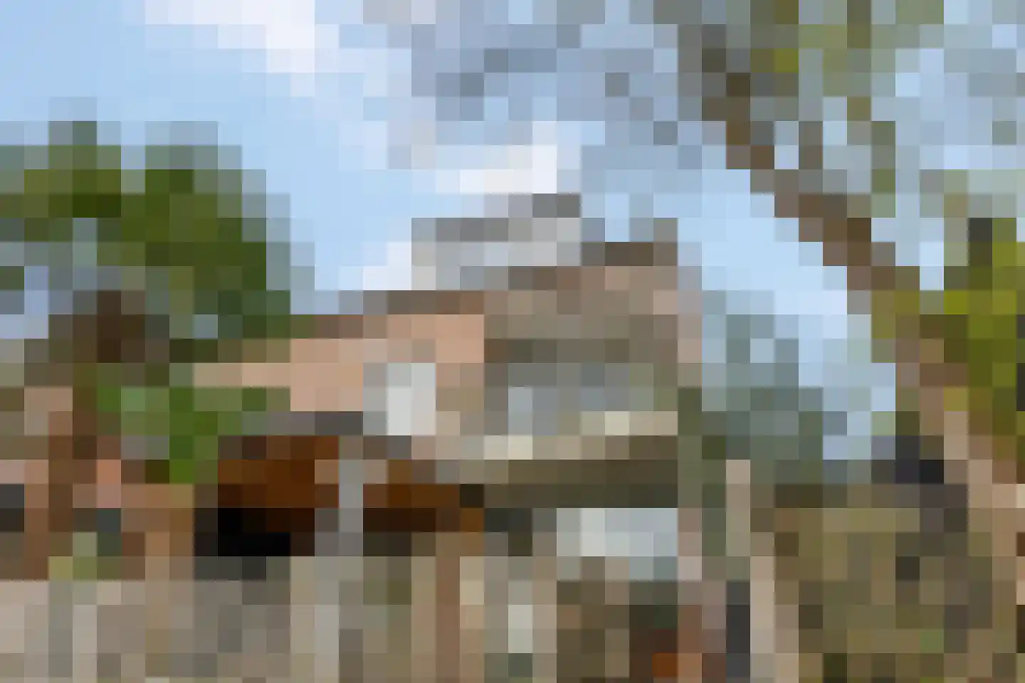 Blauwe Pannen 16 Wijk bij Duurstede thumbnail 18