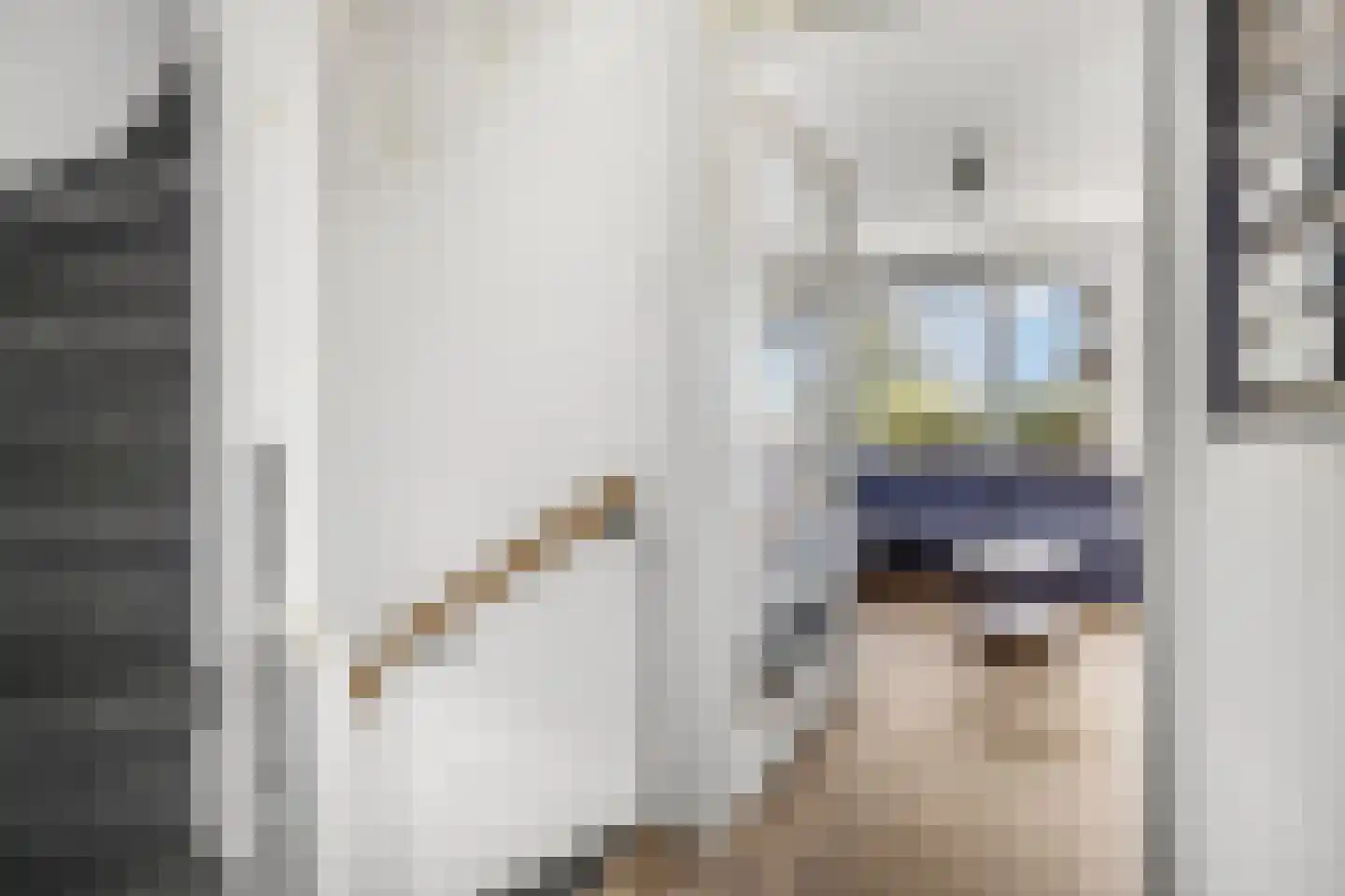 Blauwe Pannen 16 Wijk bij Duurstede thumbnail 21