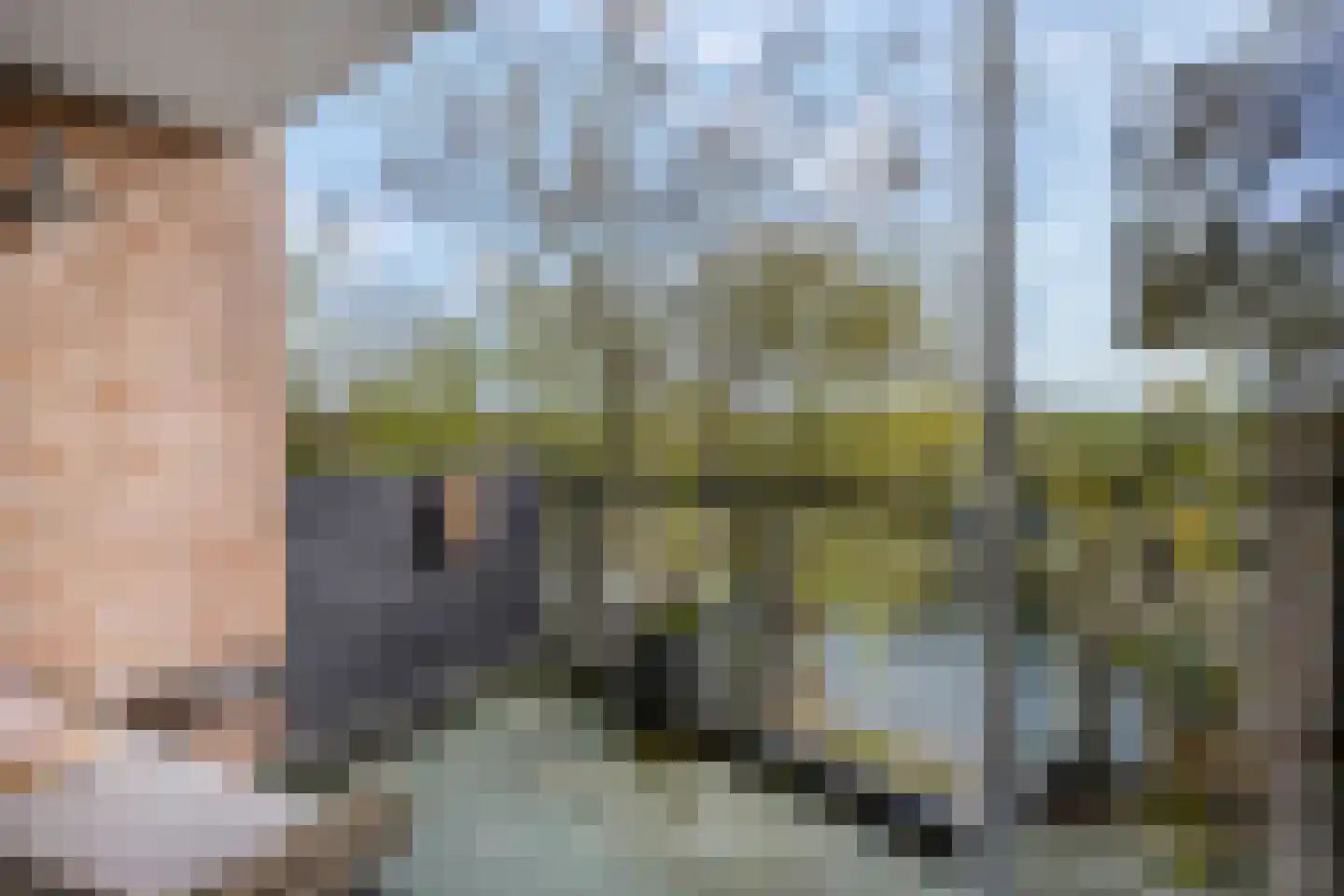 Blauwe Pannen 16 Wijk bij Duurstede thumbnail 26
