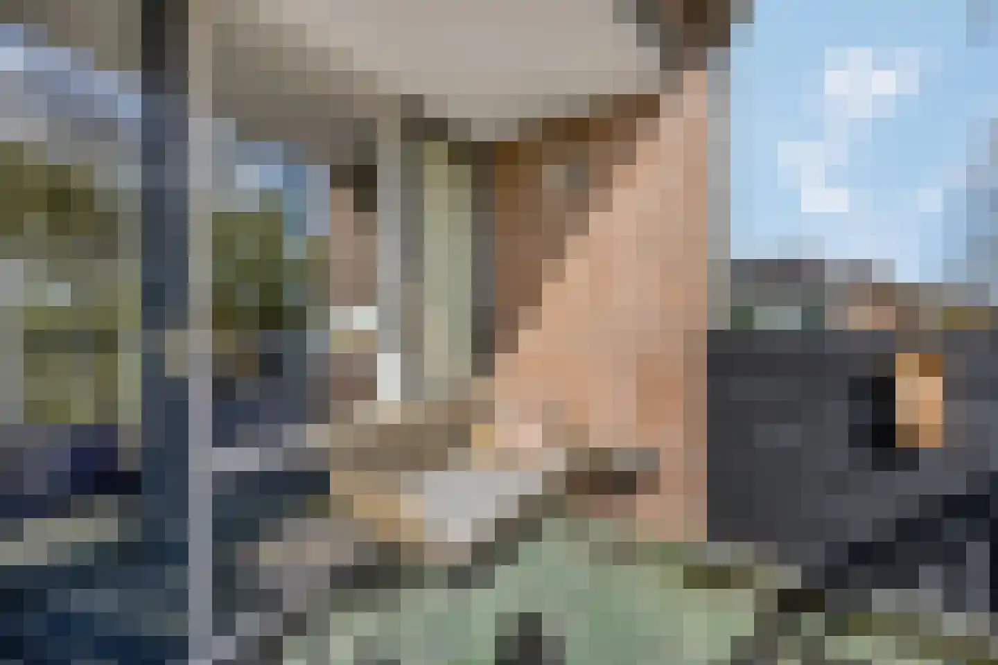 Blauwe Pannen 16 Wijk bij Duurstede thumbnail 28
