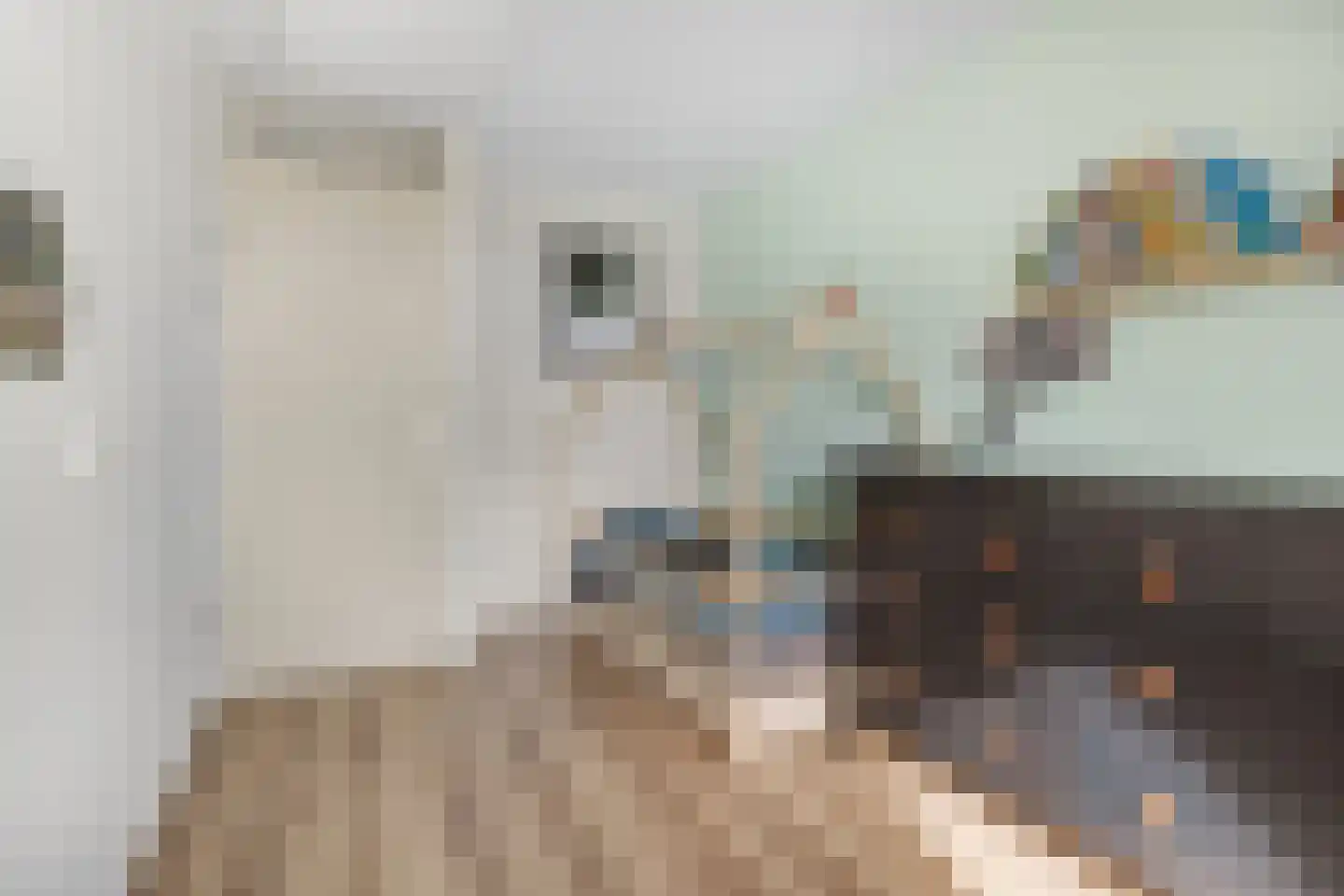 Blauwe Pannen 16 Wijk bij Duurstede thumbnail 38