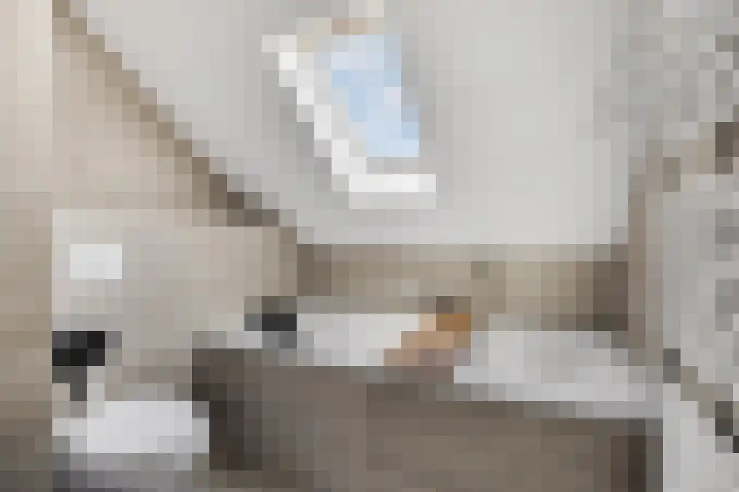 Blauwe Pannen 16 Wijk bij Duurstede thumbnail 46