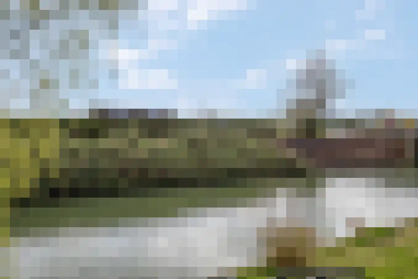 Blauwe Pannen 16 Wijk bij Duurstede thumbnail 5