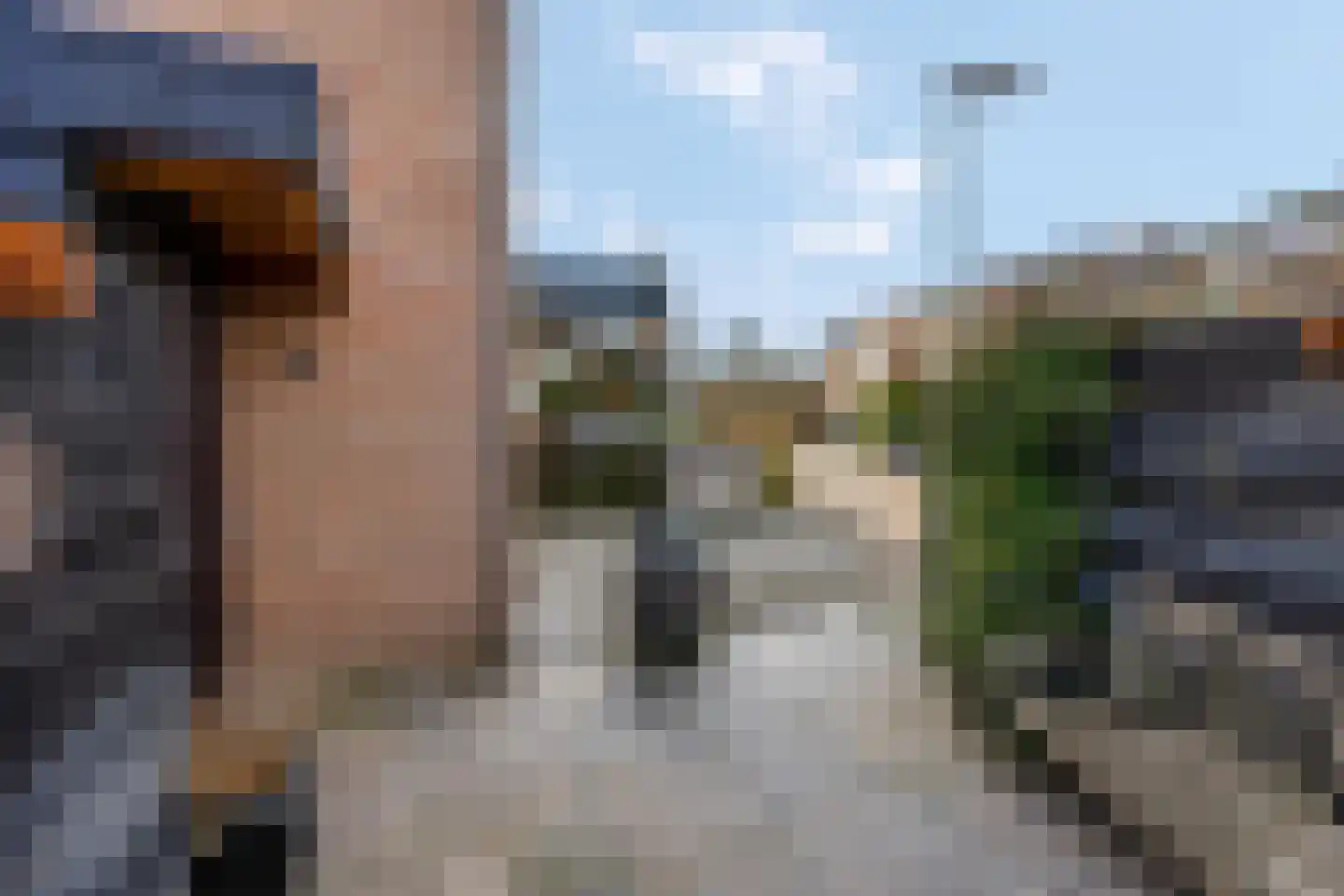 Blauwe Pannen 16 Wijk bij Duurstede thumbnail 55