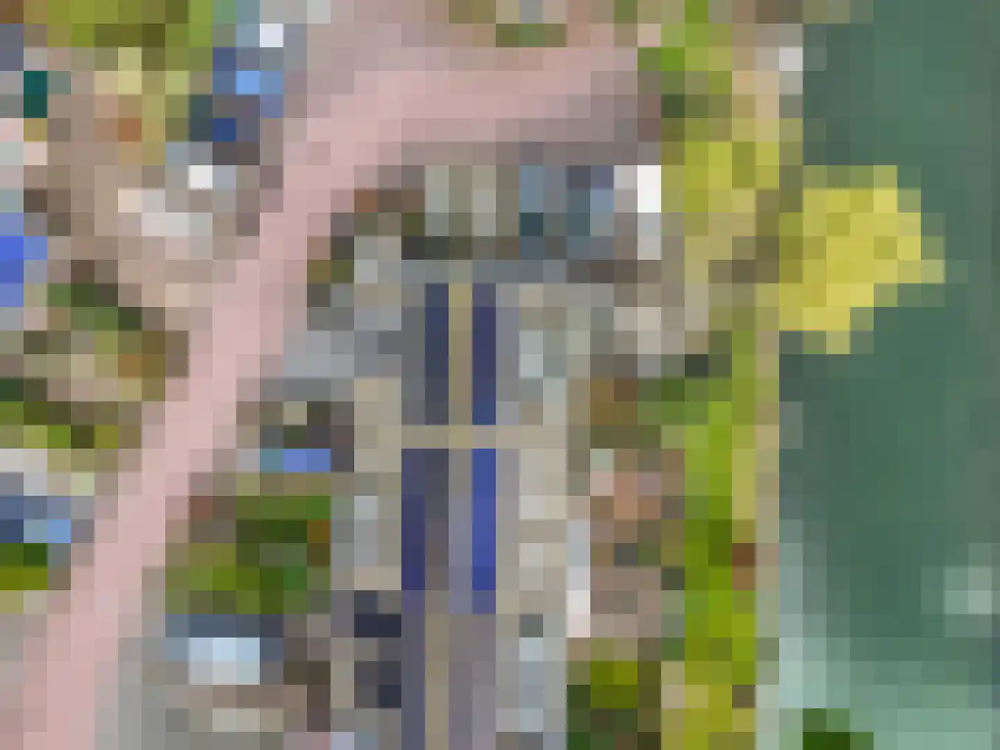 Blauwe Pannen 16 Wijk bij Duurstede thumbnail 58