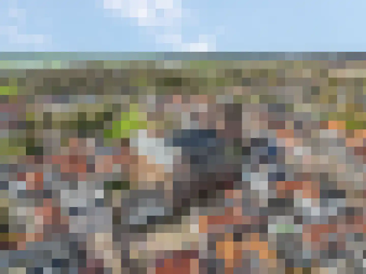 Blauwe Pannen 16 Wijk bij Duurstede thumbnail 61