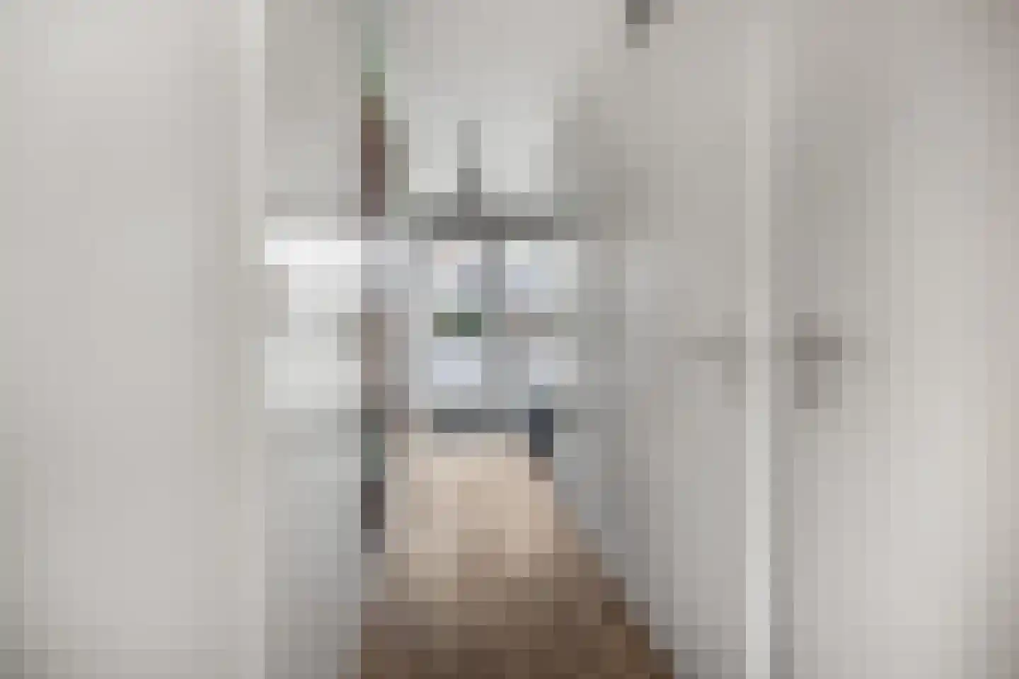 Blauwe Pannen 16 Wijk bij Duurstede thumbnail 9