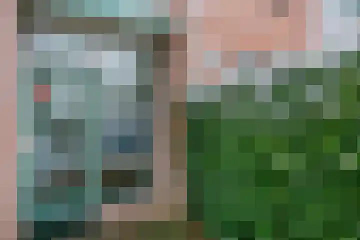 Blauwe Pannen 3 Wijk bij Duurstede thumbnail 10
