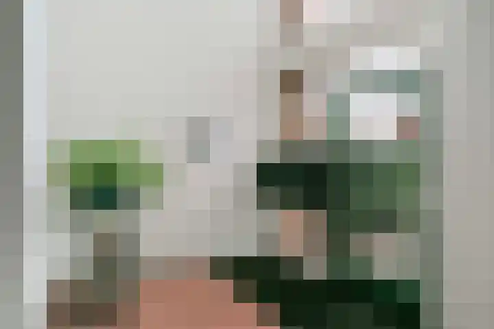 Blauwe Pannen 3 Wijk bij Duurstede thumbnail 11