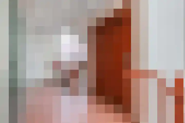 Blauwe Pannen 3 Wijk bij Duurstede thumbnail 12