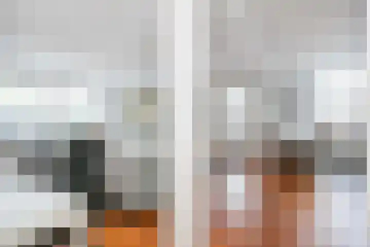 Blauwe Pannen 3 Wijk bij Duurstede thumbnail 16