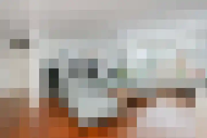 Blauwe Pannen 3 Wijk bij Duurstede thumbnail 18