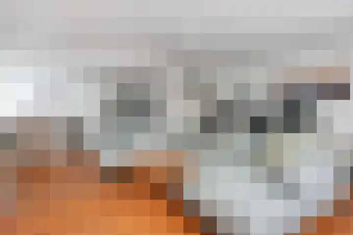 Blauwe Pannen 3 Wijk bij Duurstede thumbnail 19