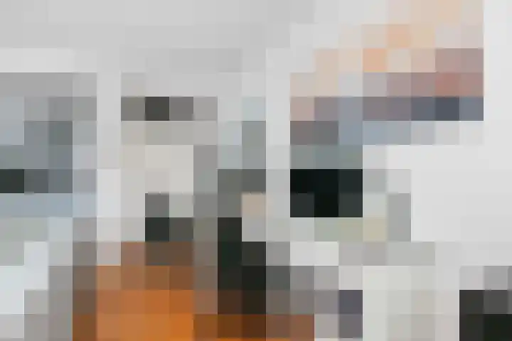 Blauwe Pannen 3 Wijk bij Duurstede thumbnail 20