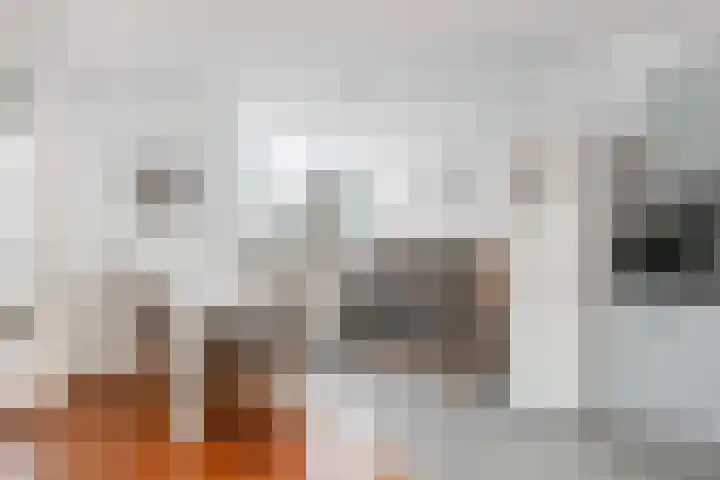 Blauwe Pannen 3 Wijk bij Duurstede thumbnail 21