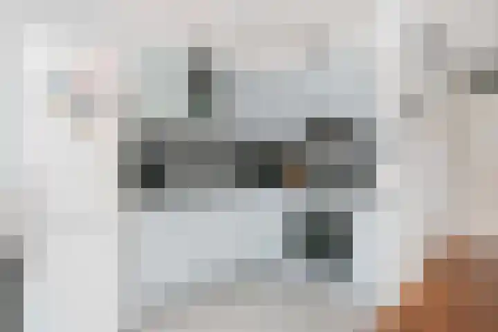 Blauwe Pannen 3 Wijk bij Duurstede thumbnail 22