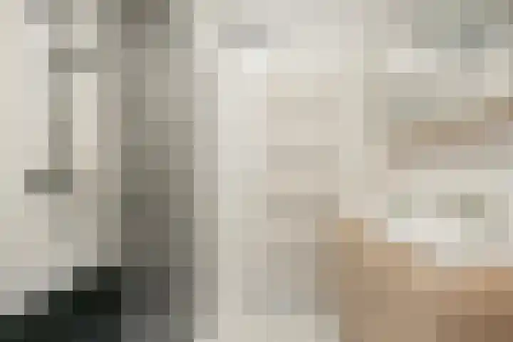 Blauwe Pannen 3 Wijk bij Duurstede thumbnail 28