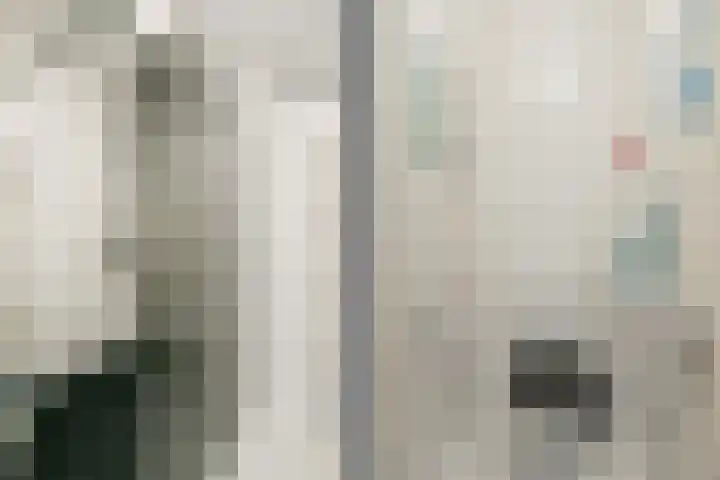 Blauwe Pannen 3 Wijk bij Duurstede thumbnail 29