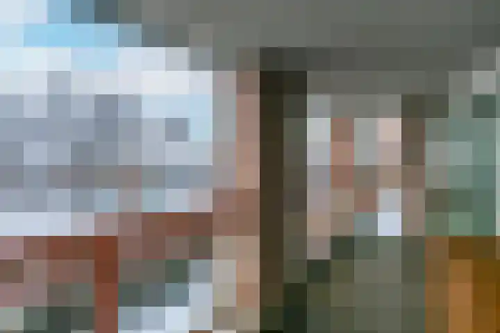 Blauwe Pannen 3 Wijk bij Duurstede thumbnail 31