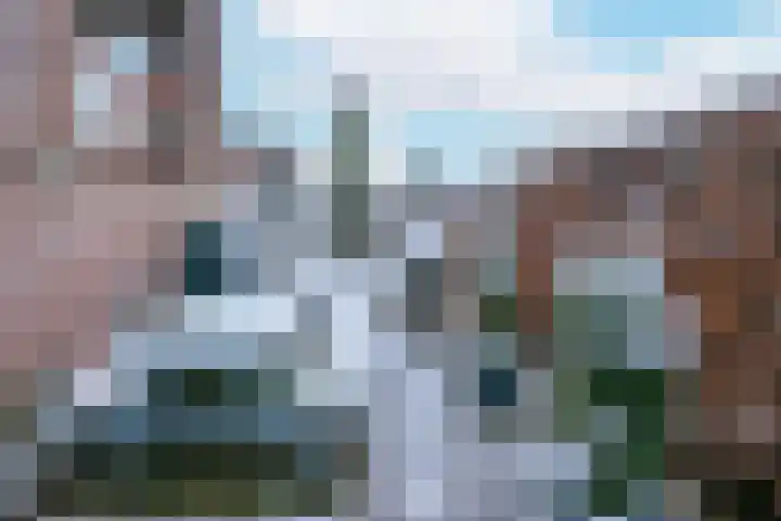 Blauwe Pannen 3 Wijk bij Duurstede thumbnail 34