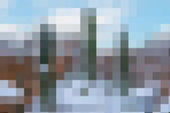 Blauwe Pannen 3 Wijk bij Duurstede thumbnail 35