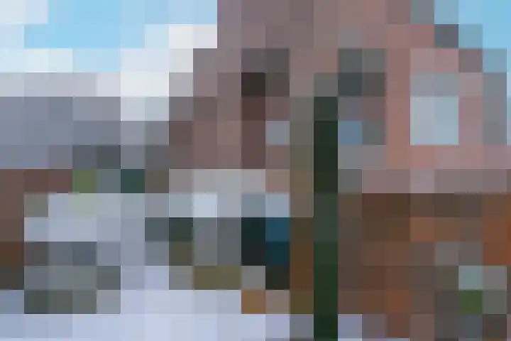 Blauwe Pannen 3 Wijk bij Duurstede thumbnail 36