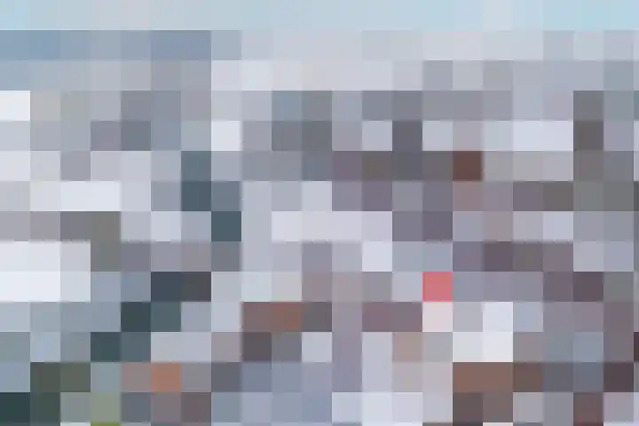 Blauwe Pannen 3 Wijk bij Duurstede thumbnail 42