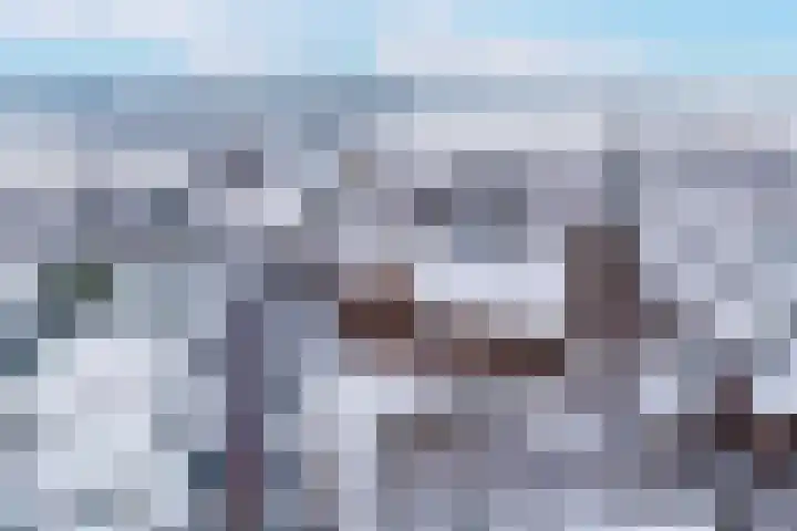 Blauwe Pannen 3 Wijk bij Duurstede thumbnail 43