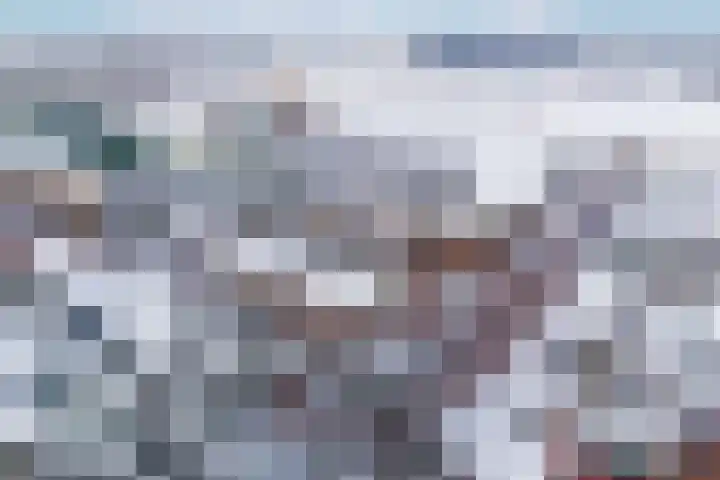 Blauwe Pannen 3 Wijk bij Duurstede thumbnail 44