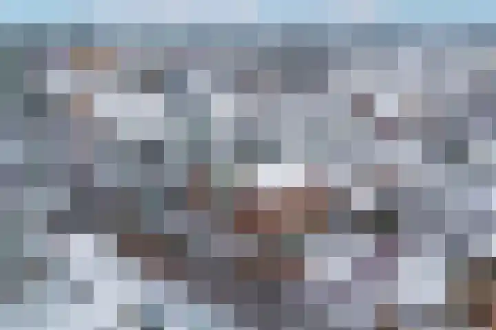 Blauwe Pannen 3 Wijk bij Duurstede thumbnail 45