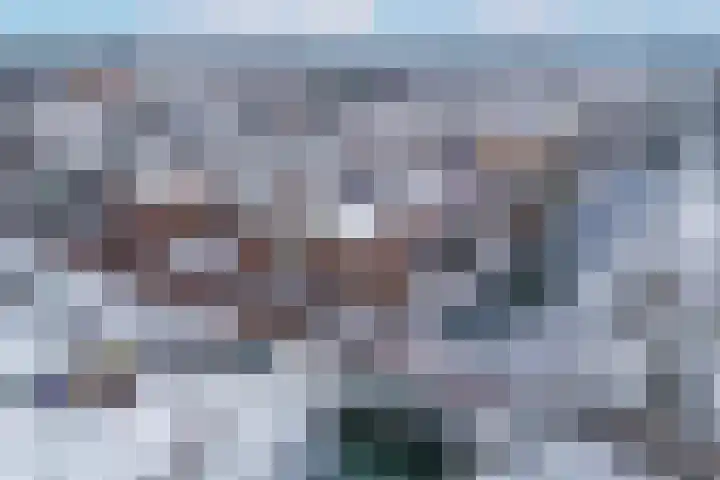 Blauwe Pannen 3 Wijk bij Duurstede thumbnail 46