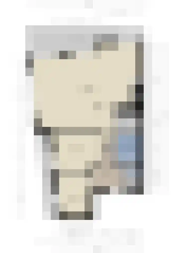 Blauwe Pannen 3 Wijk bij Duurstede thumbnail 50