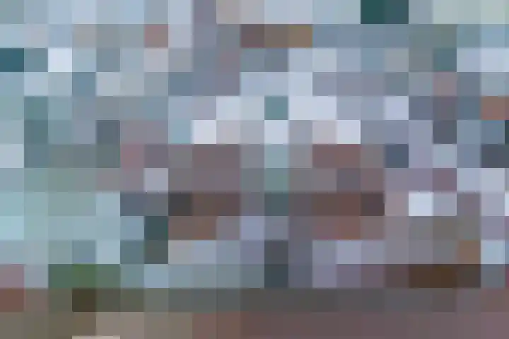 Blauwe Pannen 3 Wijk bij Duurstede thumbnail 7