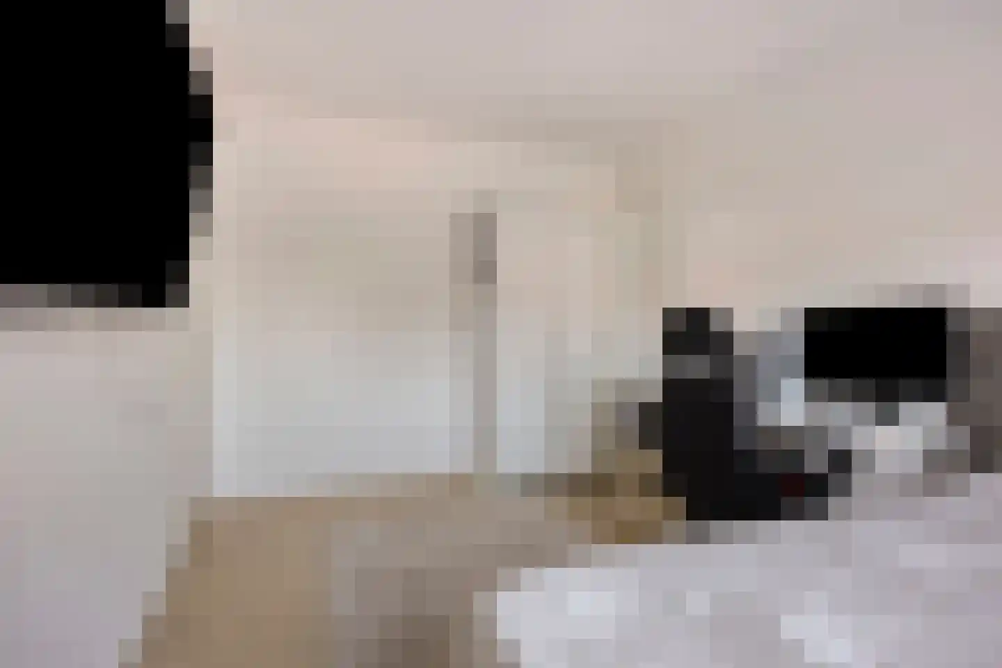 Blauwe Reiger 1 Etten-Leur thumbnail 15