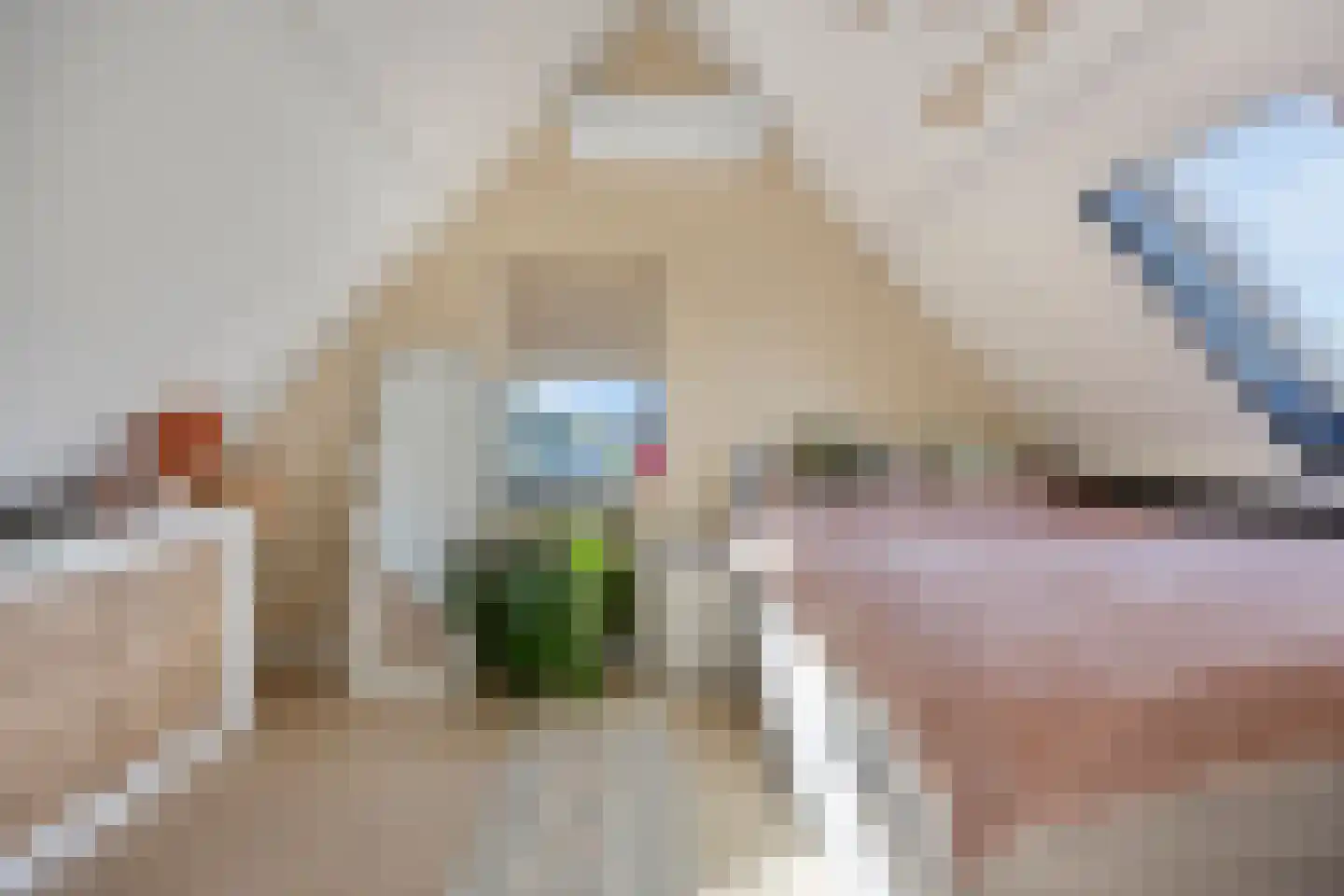 Blauwe Reiger 1 Etten-Leur thumbnail 23