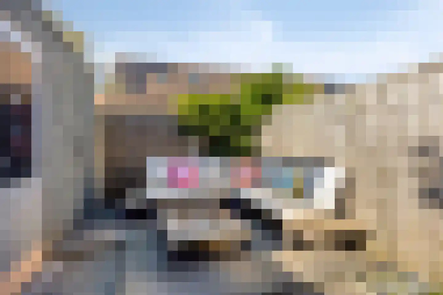 Blauwe Reiger 1 Etten-Leur thumbnail 28